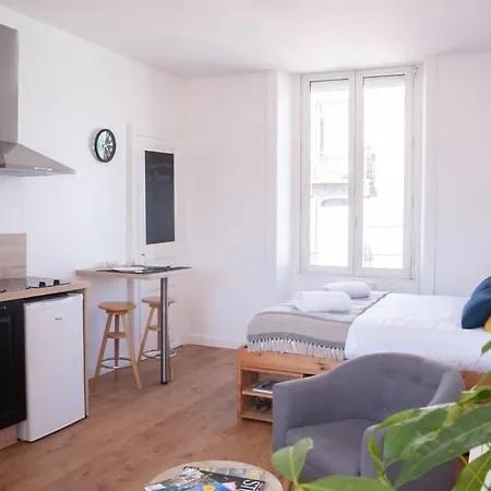 Apartment Le Saint-etienne Moderne Et Lumineux