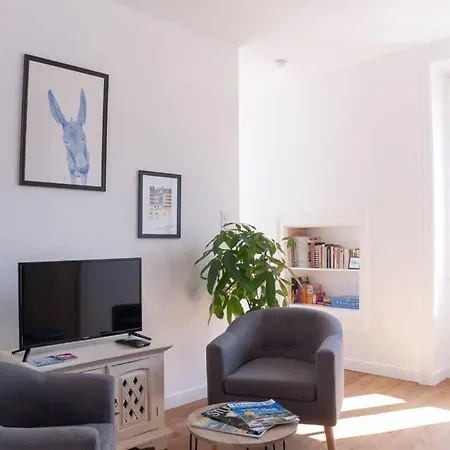 Le Saint-etienne Moderne Et Lumineux Apartment